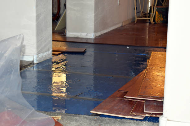 Professional Water Damage Restoration technician working in Crosbyton, TX